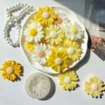 Daisy Mould - Image 4